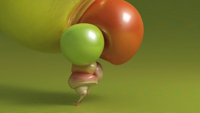 Video Reference N1: green, balloon, macro photography