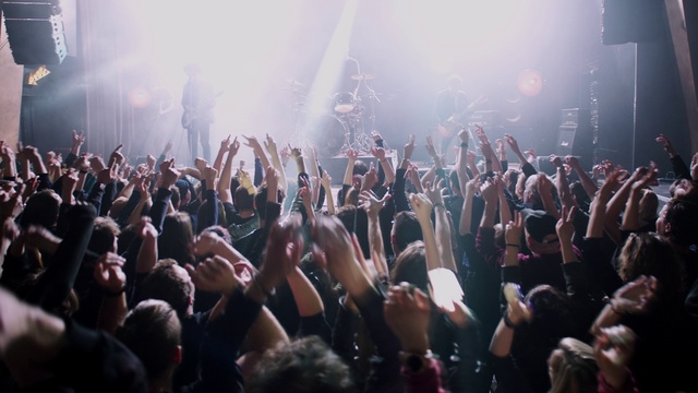 Video Reference N5: Crowd, People, Performance, Audience, Rock concert, Event, Concert, Public event, Nightclub, Performing arts