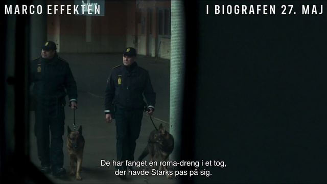 Video Reference N8: Dog, Security, Military person, Darkness, Font, Official, Soldier, Event, Law enforcement, Midnight