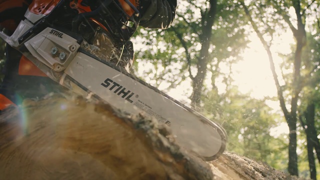 Video Reference N1: Chainsaw, Tree, Woody plant, Plant, Photography, Vehicle, Person, Outdoor, Jumping, Man, Riding, Air, Sitting, Bird, Flying, Ramp, Board, Forest, Doing, Large, Hill, Snow, Motorcycle, Trick