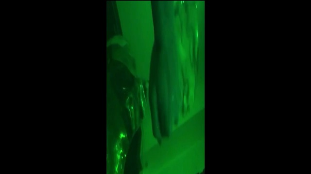 Video Reference N3: green, black, light, laser, atmosphere, darkness, organism, technology, computer wallpaper, plant stem