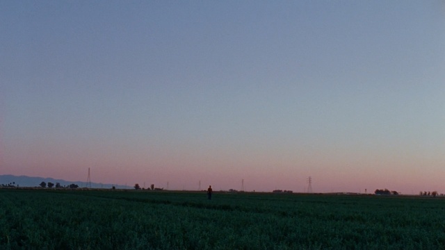 Video Reference N0: sky, field, horizon, plain, grassland, prairie, dawn, morning, rural area, atmosphere