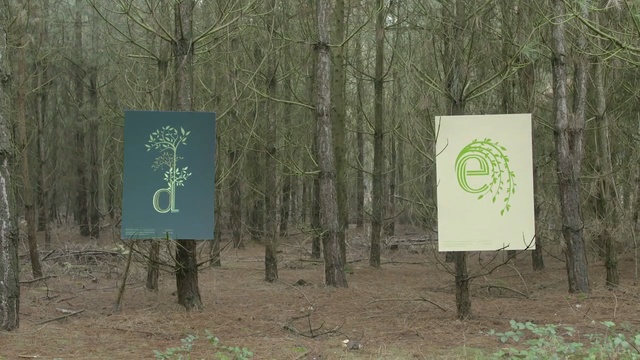 Video Reference N1: nature reserve, tree, forest, woodland, biome, grass, state park, sign, plant, signage, Person