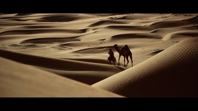 Video Reference N2: Desert, Sand, Natural environment, Erg, Aeolian landform, Sahara, Singing sand, Dune, Landscape, Sky, Person