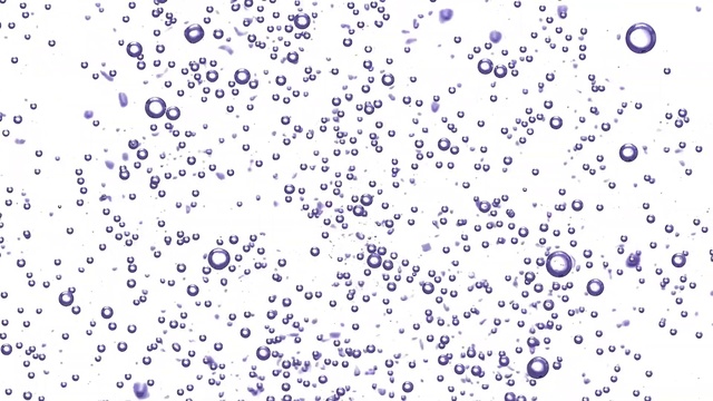 Video Reference N0: Purple, Lavender, Violet, Pattern