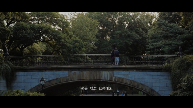 Video Reference N4: nature, water, reflection, waterway, body of water, bridge, plant, tree, arch bridge, river, Person