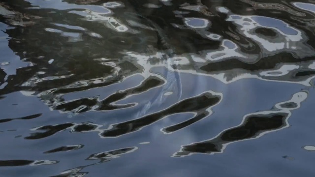 Video Reference N4: water, reflection, water resources, organism, sky, wave, earth, marine biology