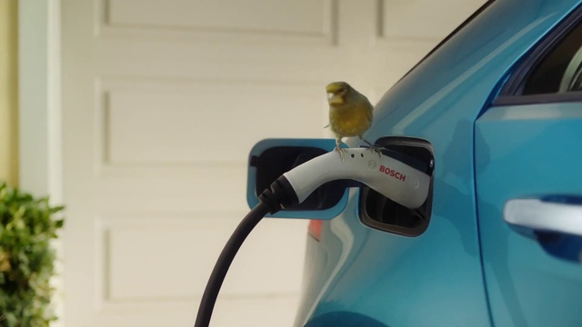 Video Reference N1: Vehicle door, Bird, Budgie, Auto part, Parakeet, Vehicle, Automotive exterior, Automotive mirror, Car, Perching bird