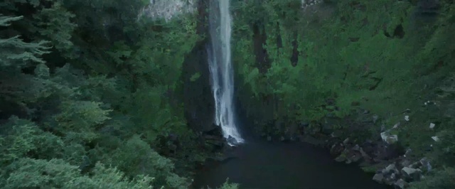 Video Reference N1: waterfall, nature, nature reserve, vegetation, body of water, water resources, water, watercourse, rainforest, chute