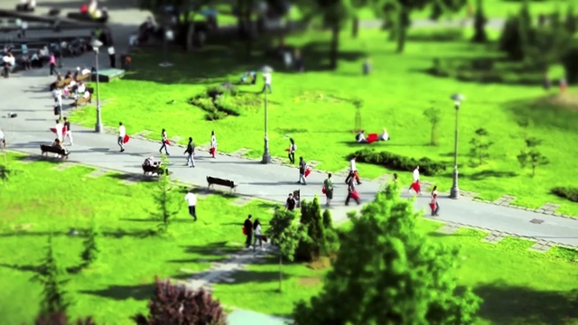 Video Reference N0: grass, tree, plant, lawn, leisure, recreation, landscape, park