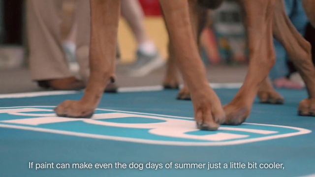 Video Reference N4: Games, Human leg, Leg, Recreation, Joint, Fun, Play, Leisure, Muscle, Ankle