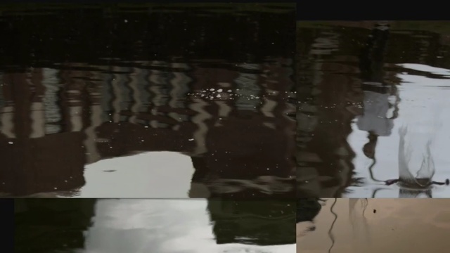 Video Reference N4: reflection, water, photograph, wall, art, tree, ice