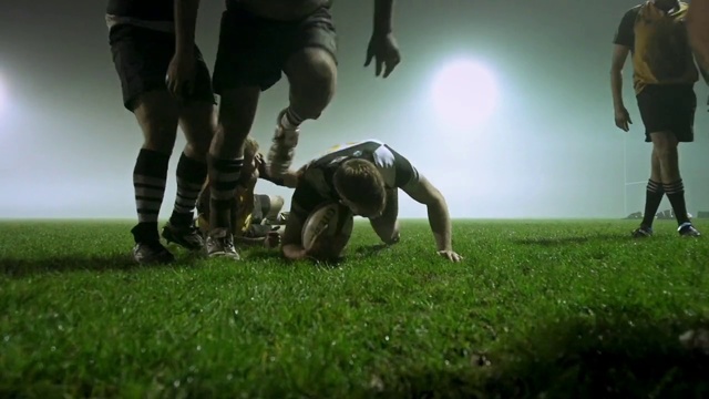 Video Reference N13: Grass, Photography, Plant, Lawn, Ball, Player, Sports training, Games