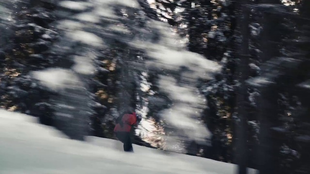 Video Reference N6: Snow, Winter, Tree, Freezing, Geological phenomenon, Sky, Footwear, Recreation, Plant, Photography