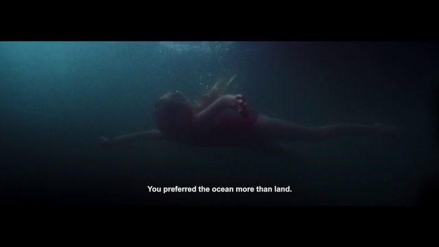 Video Reference N0: Underwater, Marine biology, Organism, Sea, Screenshot