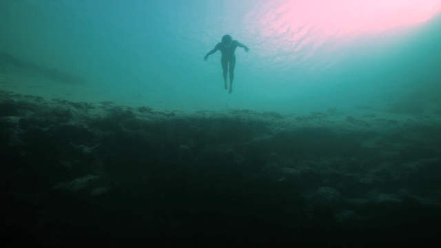 Video Reference N2: underwater, underwater diving, sea, water, scuba diving, freediving, ocean, diving, marine biology, organism, Person