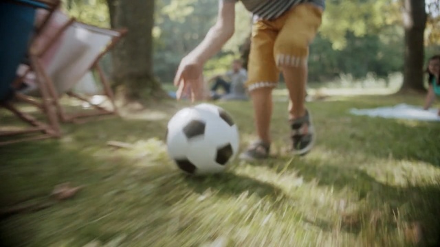Video Reference N0: Soccer ball, Football, Ball, Soccer, Sports equipment, Freestyle football, Play, Grass, Football player, Ball game