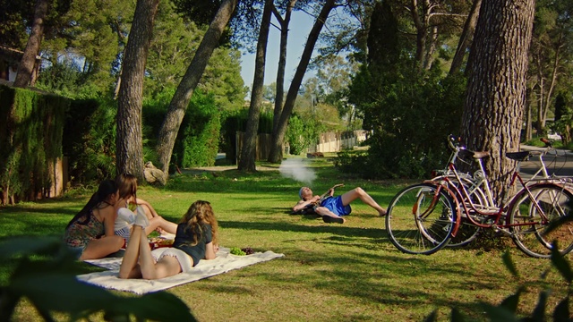 Video Reference N1: People in nature, Tree, Grass, Leisure, Spring, Botany, Recreation, Woody plant, Picnic, Lawn