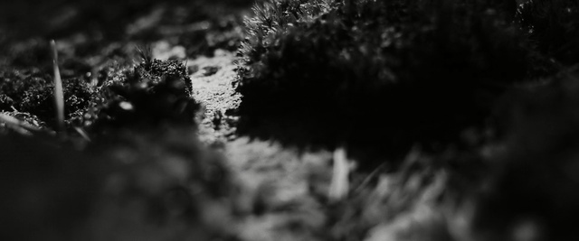 Video Reference N1: black, nature, black and white, monochrome photography, atmosphere, darkness, sky, photography, light, monochrome