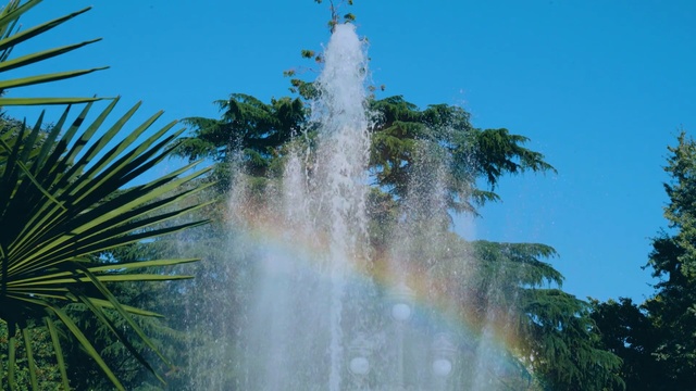 Video Reference N14: nature, water, vegetation, tree, water resources, water feature, palm tree, arecales, sky, tropics
