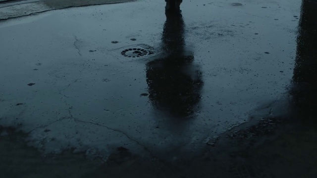 Video Reference N2: Reflection, Water, Blue, Sky, Tree, Puddle, Cloud, Winter, Rain, Ice