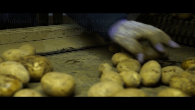 Video Reference N1: root vegetable, potato, produce, food, vegetable, tuber