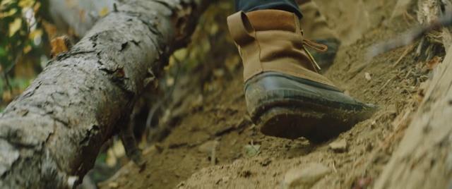 Video Reference N3: Footwear, Shoe, Tree, Soil, Mud, Hiking boot, Boot, Plant, Trunk, Sand