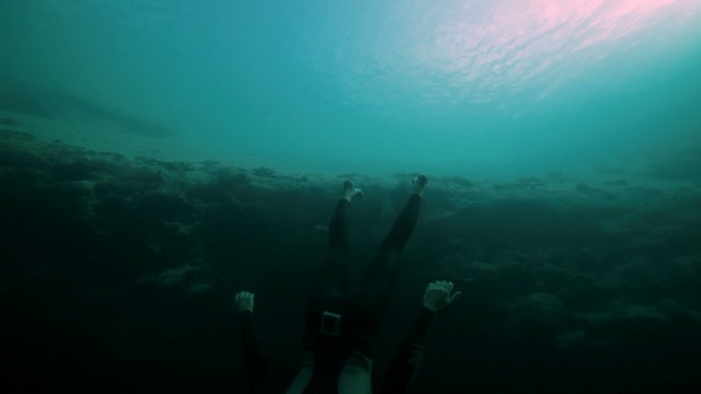 Video Reference N14: underwater diving, scuba diving, divemaster, underwater, sea, freediving, aquanaut, water, diving, marine biology