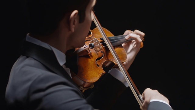 Video Reference N2: String instrument, Music, Violist, Violinist, Violin, Musical instrument, String instrument, Fiddle, Viola, Musician