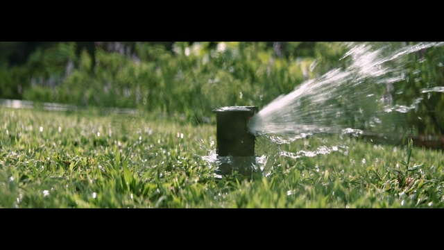 Video Reference N0: Nature, Water, Grass, Green, Lawn, Irrigation sprinkler, Grass family, Sunlight, Plant, Photography