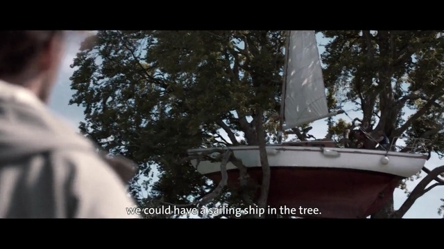 Video Reference N2: Tree, Snapshot, Boat, Woody plant, Vehicle, Photography, Plant, Watercraft