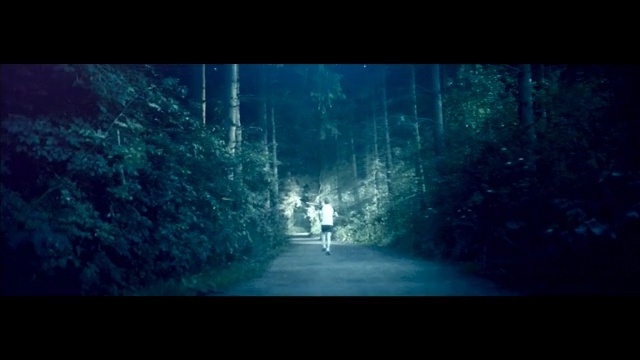 Video Reference N3: running, run, blue, nature, atmosphere, green, ecosystem, darkness, light, night, forest, sky