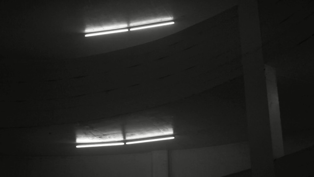 Video Reference N1: black, white, black and white, light, darkness, ceiling, monochrome photography, architecture, lighting, light fixture