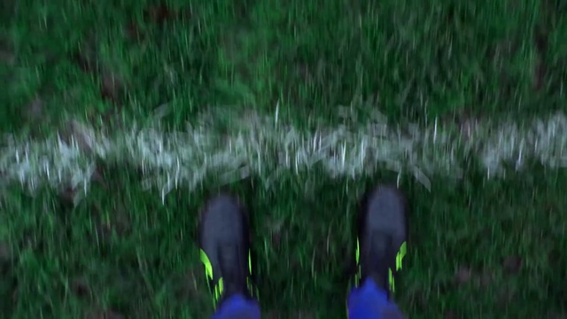 Video Reference N14: Green, Grass, Nature, Lawn, Grass, Meadow, Grassland, Plant, Leaf, Footwear