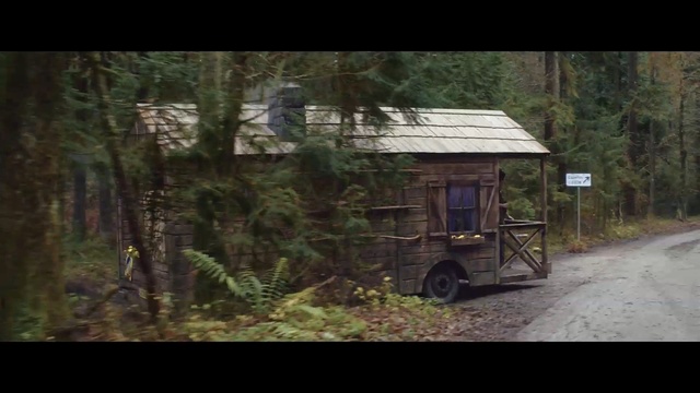 Video Reference N1: forest, tree, shack, woodland, shed, house, rural area, biome, hut, jungle