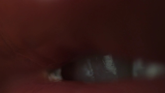 Video Reference N0: red, black, lip, nose, darkness, close up, light, atmosphere, mouth, macro photography