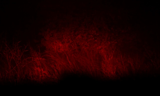 Video Reference N3: Red, Black, Darkness, Maroon, Light, Geological phenomenon, Sky, Atmosphere, Room