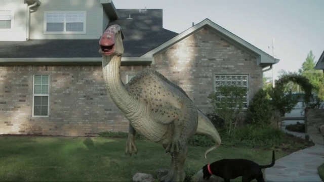 Video Reference N3: Dinosaur, Bird, Beak, Grass, Tree, Flightless bird, House, Goose, Wildlife, Person