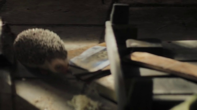 Thumbnail