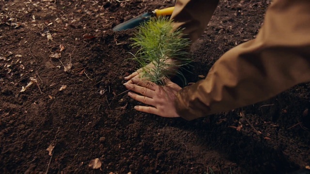 Video Reference N2: Soil, Plant, Grass, Tree, Hand, Adaptation, Grass family, Sowing, Gardening, Landscape