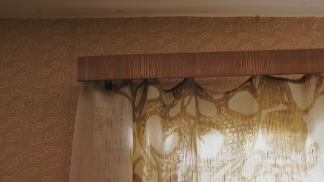 Video Reference N2: Curtain, Window treatment, Interior design, Window covering, Wall, Wood, Wood stain, Textile, Room, Hardwood