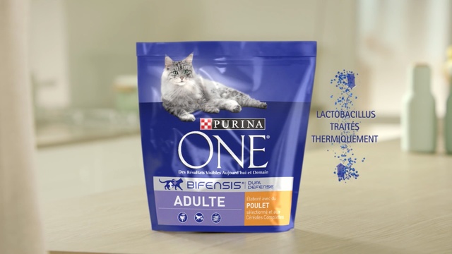 Video Reference N1: Cat, Cat food, Pet food, Felidae, Small to medium-sized cats, Kitten, Persian, Dog food, Cat supply, Person