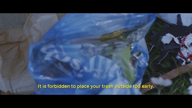 Video Reference N1: Blue, Text, Cobalt blue, Organism, Water, Font, World, Space, Electric blue, Plant