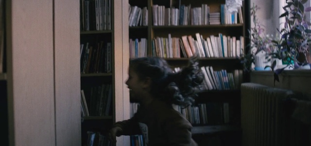 Video Reference N4: Shelving, Bookcase, Shelf, Library, Snapshot, Furniture, Window, Darkness, Architecture, Room