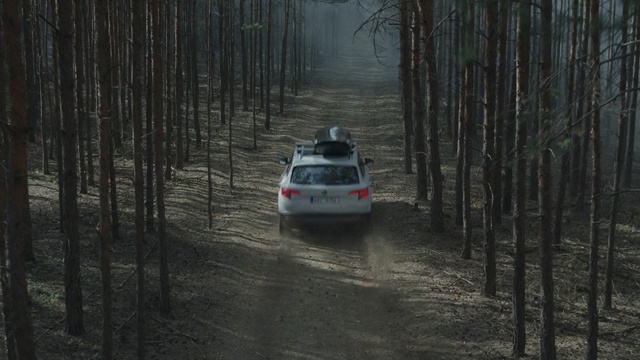 Video Reference N0: car, forest, tree, plant, motor vehicle, road, woodland, screenshot, vehicle, landscape, Person