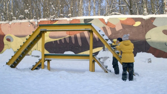 Video Reference N4: Snow, Winter, Tree, Freezing, Leisure