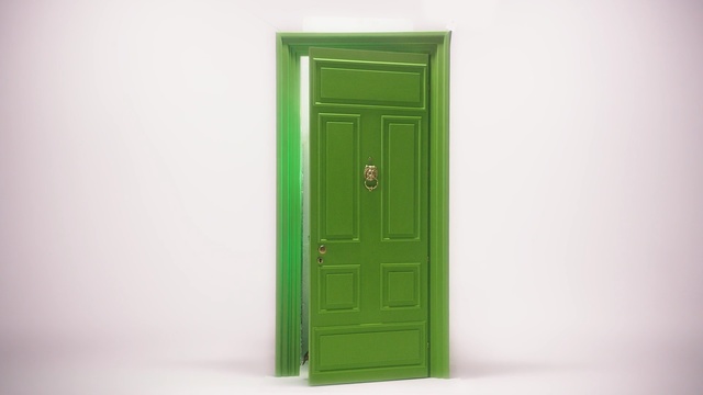 Video Reference N0: green, door