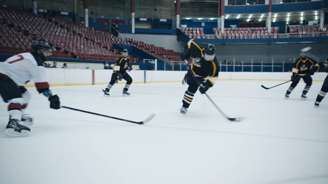 Video Reference N1: hockey, sport venue, ice hockey, bandy, team sport, college ice hockey, ice hockey position, ice rink, player, defenseman, Person