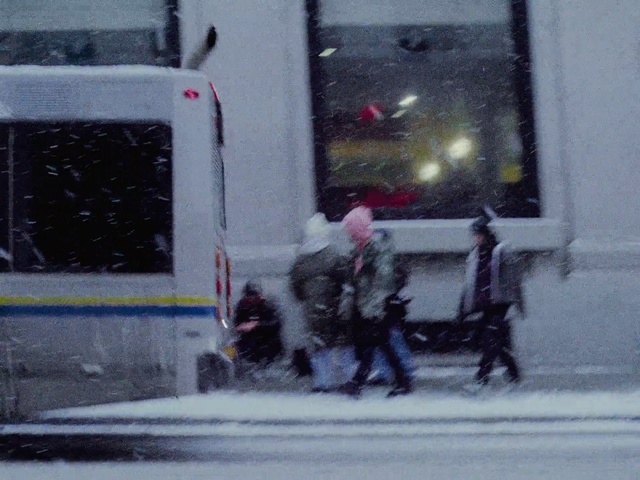 Video Reference N2: Snow, Winter, Freezing, Winter storm, Pedestrian, Vehicle, Blizzard, Person