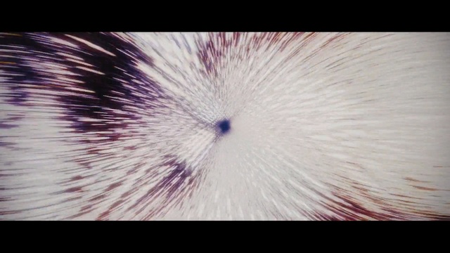 Video Reference N8: Nature, Close-up, Violet, Purple, Eye, Organ, Organism, Feather, Line, Iris
